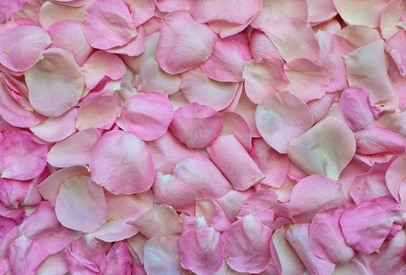 Значение розового и других цветов в психологии